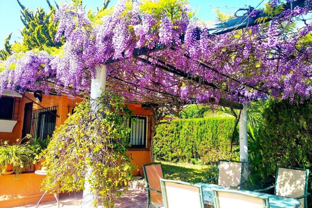 Villa Torrenueva Μάλαγα Εξωτερικό φωτογραφία