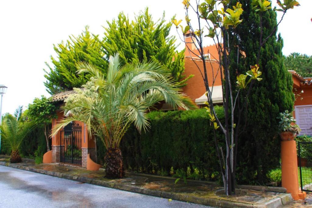 Villa Torrenueva Μάλαγα Εξωτερικό φωτογραφία