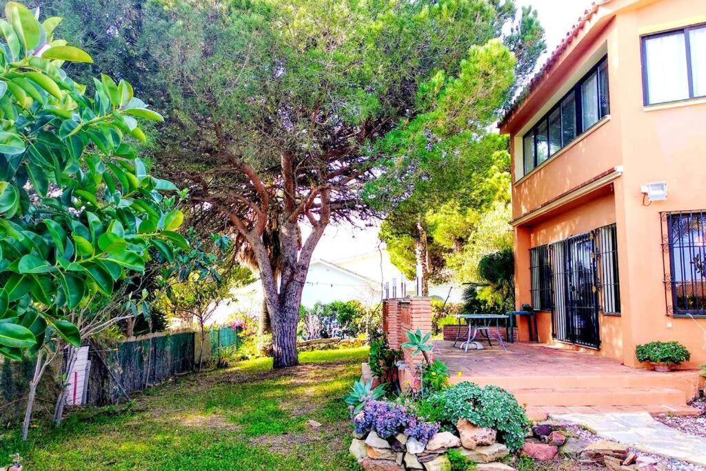 Villa Torrenueva Μάλαγα Εξωτερικό φωτογραφία