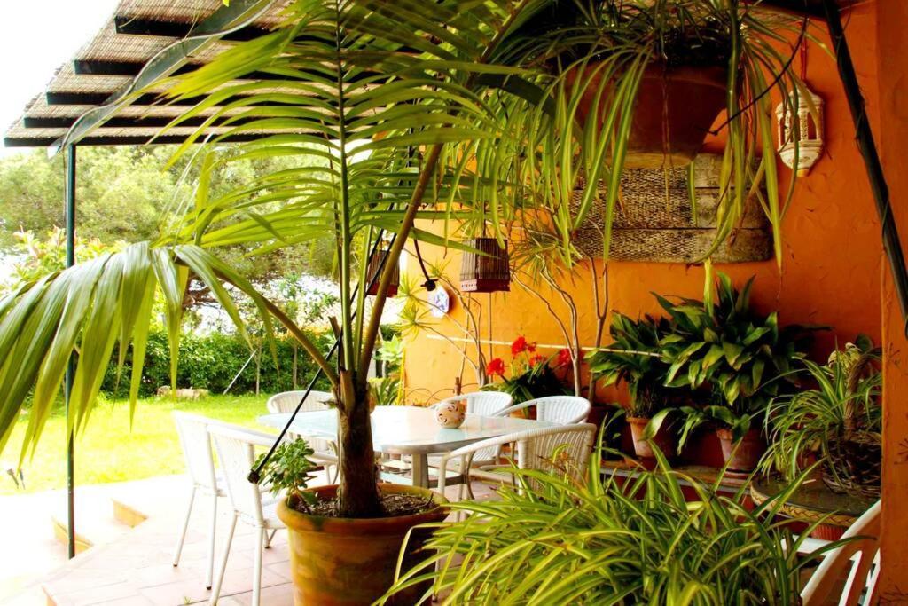 Villa Torrenueva Μάλαγα Εξωτερικό φωτογραφία