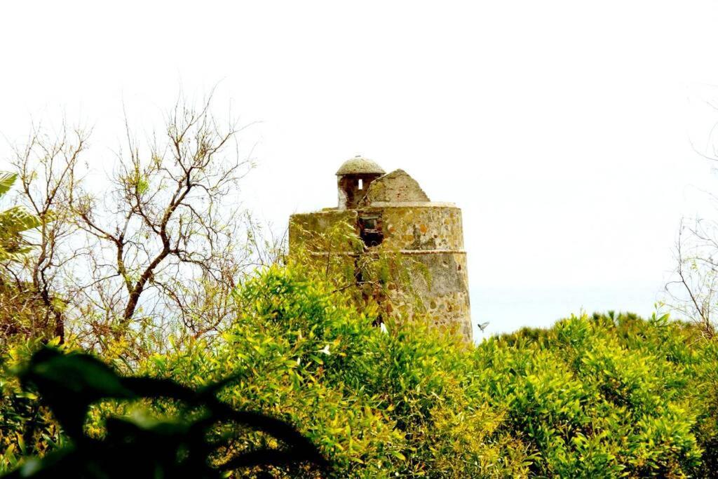 Villa Torrenueva Μάλαγα Εξωτερικό φωτογραφία